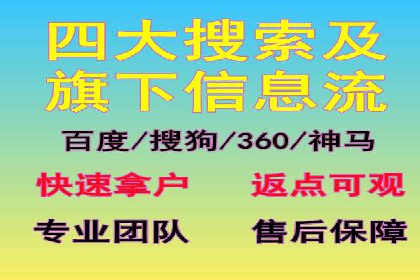 某行业巨头背后的SEM代运营服务公司